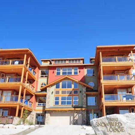 Snowbird Lodge 韦斯特班克 外观 照片